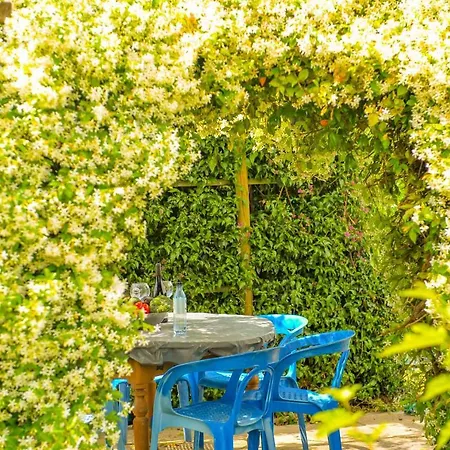 Elodie - Piscine, Terrasse, Barbecue, Clim - Ajaccio *