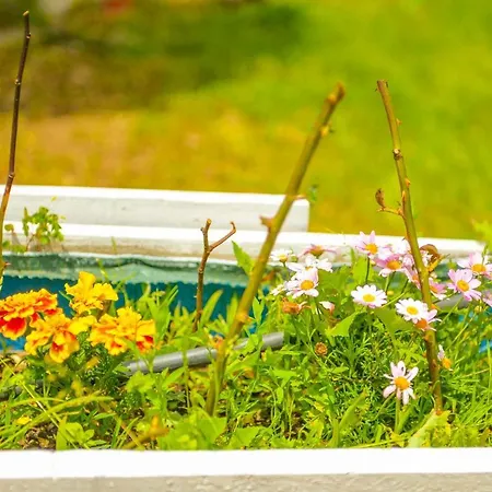 Apartmán Elodie - Piscine, Terrasse, Barbecue, Clim - Ajaccio Ajaccio (Corsica)